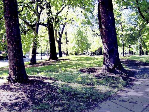 Photo of Central Park in Old Louisville