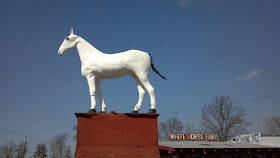 White Horse Farm Hammonton NJ Hidden NJ