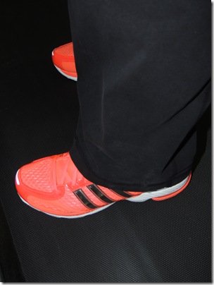 shoes 010