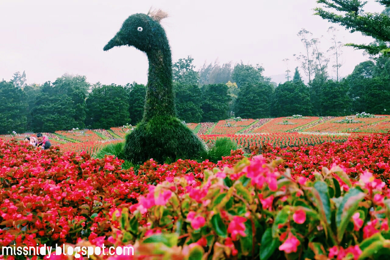 Piknik Misbar di Taman  Bunga  Nusantara 