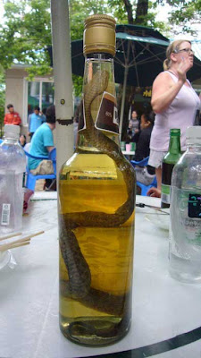 Snake Wine Seen On CoolPictureGallery.blogspot.com Or www.CoolPictureGallery.com