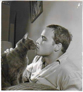 El beso gatuno de Marlon Brando