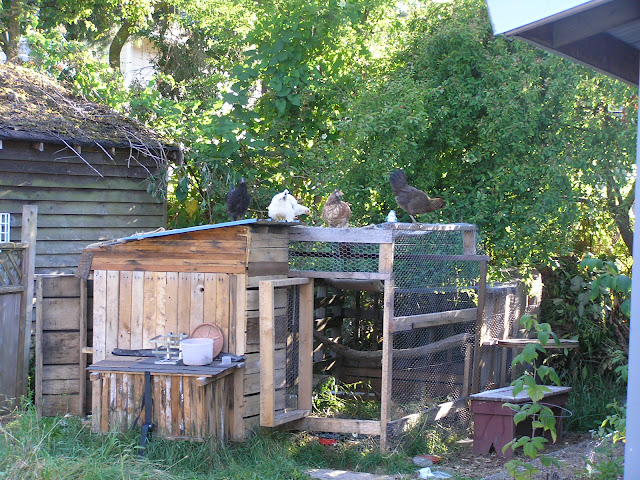 chicken coop