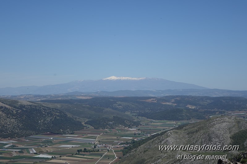 Sierra de Alhama: Puerto de Zafarraya - Hoyo del Toro - La Torca