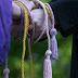 Os 6 Ritos de Passagem - Parte IV - (Handfasting e Handparting)