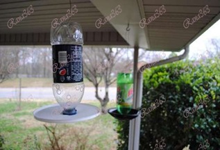 Bird-Feeder-from-recycled-drink-bottle