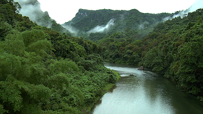 Biosfera del Río Plátan