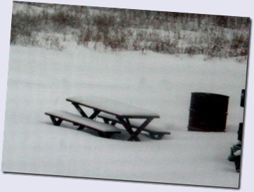 Snowbound Picnic Table