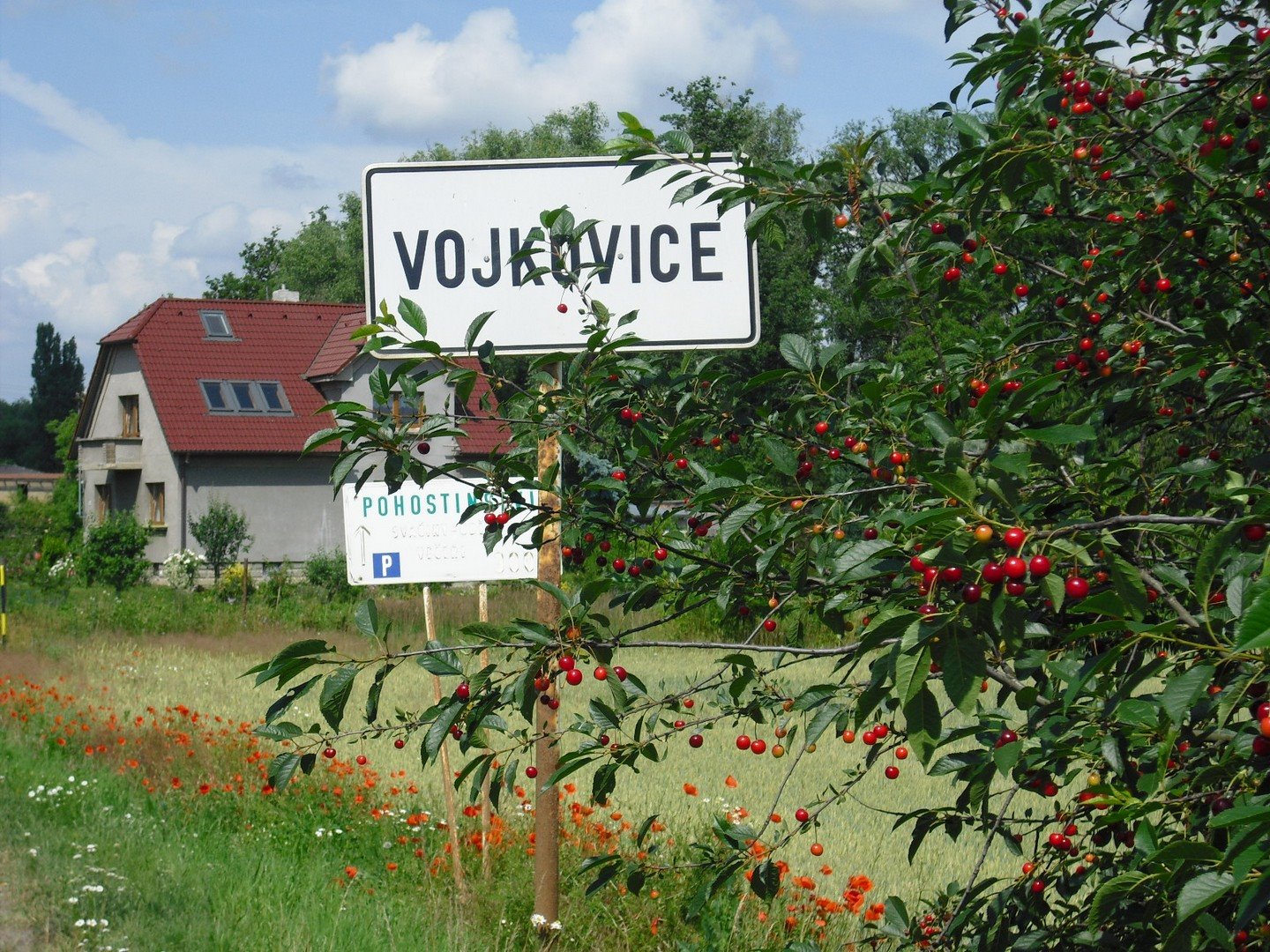 VOJKOVICE  -   ЧЕХИЯ