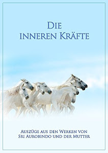 Die inneren Kräfte