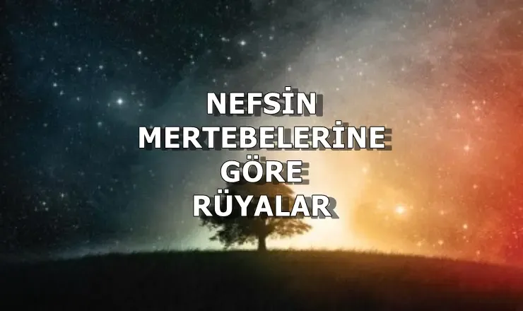 Nefis Mertebesine Göre Görülen Rüyalar 1