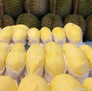 Musim Durian Mai dah 