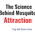 The Science Behind Mosquito Attraction: Why Some People are More Prone?