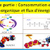  2BAC SVT  INTER : Première partie Consommation de la matière organique et flux d’énergie