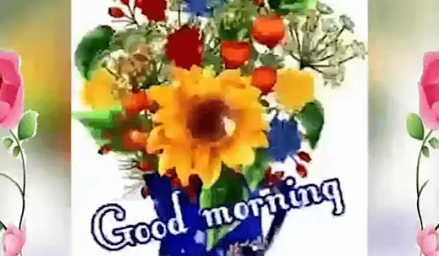 Best Good Morning WhatsApp Status Video Download