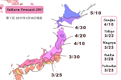 Sakura - Cherry Blossom - Forecast for Japan 2017