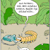 Kırkayak Karikatürleri - Bacağımı Kırdım