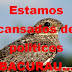 POLITICO BACURAU