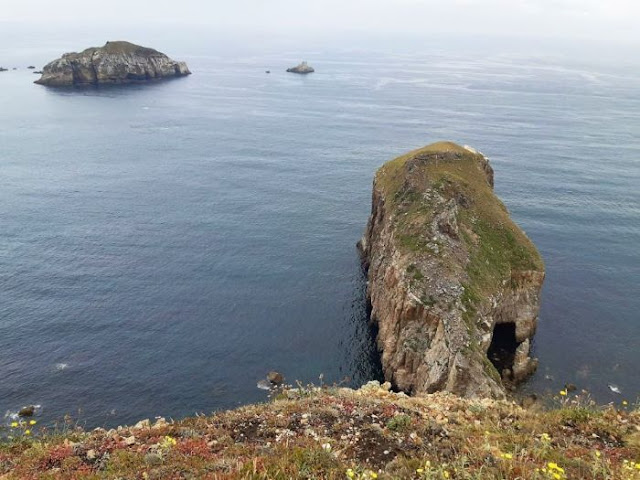 Islote El Sabín e Isla La Erbosa