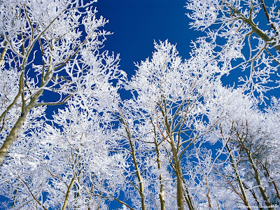 Snow desktop wallpapers and photos