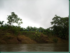 Volcano Trip 107