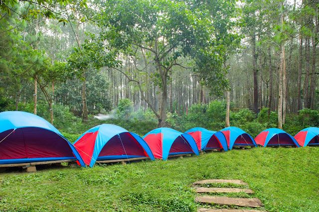 Grafika Cikole Lembang Camping Ground, Camping Keluarga, Camping Massal, Urban Camp - Paket Gathering Outing Outbound Bandung