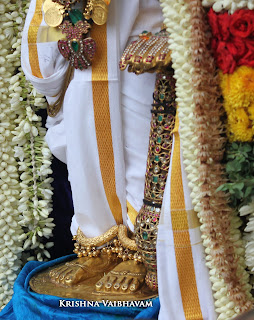 Kodai Utsavam, Tholukiniyaan, Purappadu,Video, Divya Prabhandam,Sri Parthasarathy Perumal, Triplicane,Thiruvallikeni,Utsavam,