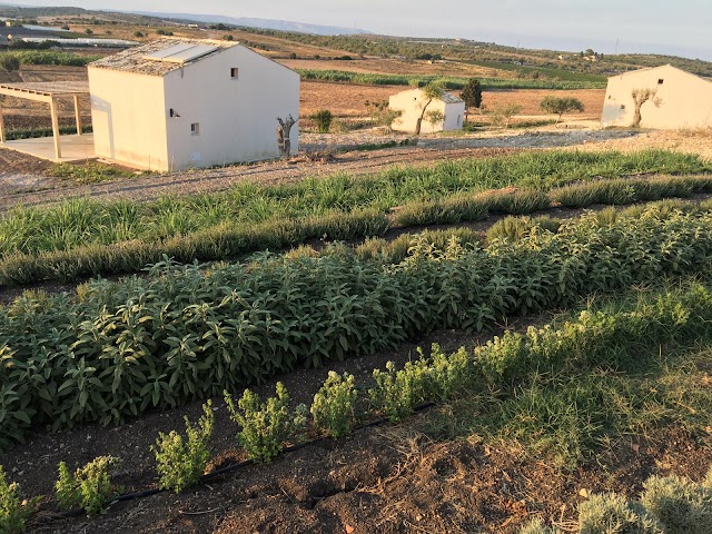 NEW KAPUHALA SICILY HERITAGE FARMSTAY TO OPEN IN SEPTEMBER 2020