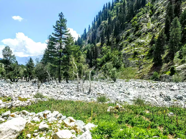 Famous & Amazing Shahi Bagh to Visit in Swat, Pakistan