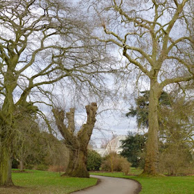 The path to the Palm House at Kew Gardens, January