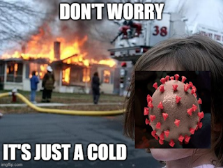 In the background is a house on fire, a fire truck, firefighters, and the homeowner. In the forefront is a little girl and her face has been superimposed with an artist rendition of the spike-covered coronavirus, SARS-CoV-2. The caption says Don't worry, it's just a cold.