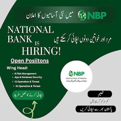 NBP jobs