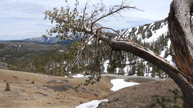 Day 6 - CA-89 (Monitor Pass), CA-108 (Sonora Pass)