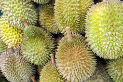 Bahaya Makan Durian Bagi Ibu Hamil, jangan diremehkan !!