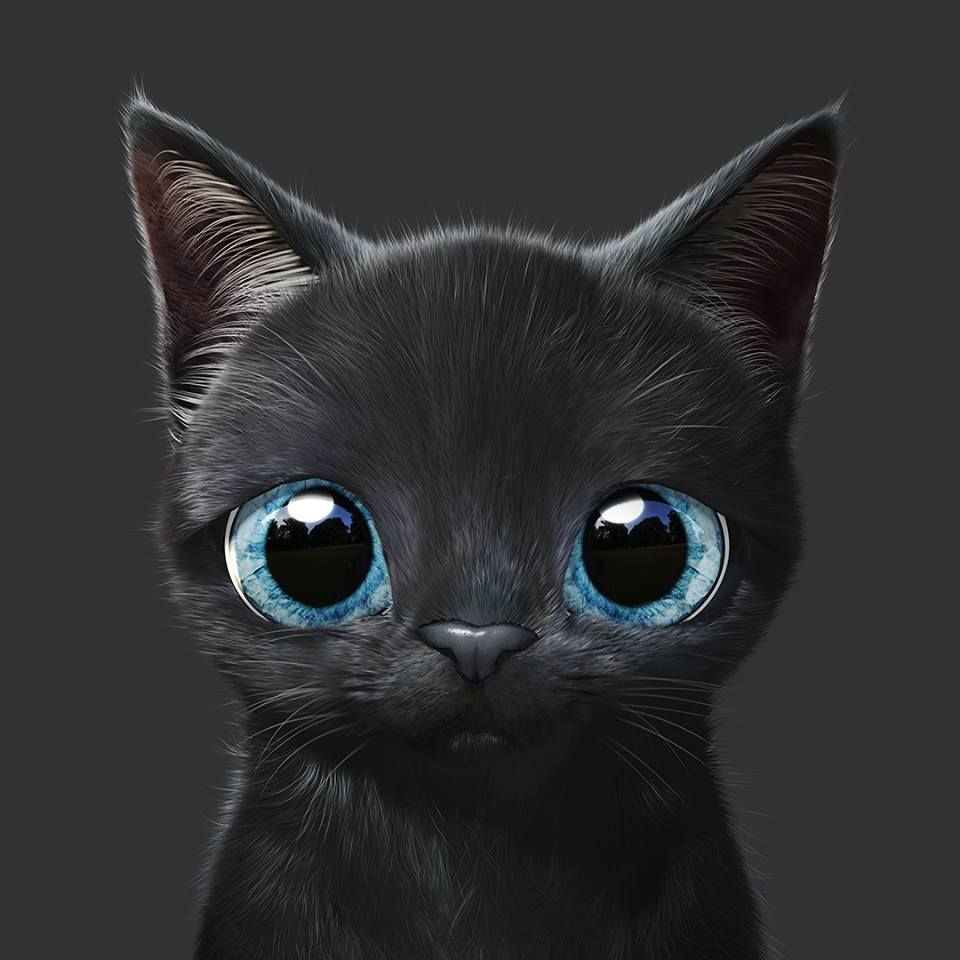64 Animasi Kucing Lucu Wallpaper Animasi Gratis Cikimmcom