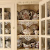 My Cupboard of Brown & White Transferware