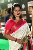 Radhika Sarathkumar (7).JPG