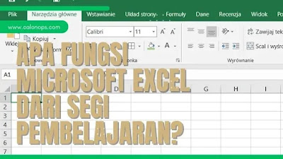 Apa Fungsi Microsoft Excel dari Segi Pembelajaran?