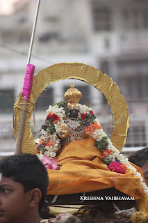 Surya PRabhai,Day 04,Brahmotsavam, Thiruvallikeni, Sri PArthasarathy Perumal, Temple, 2017, Video, Divya Prabhandam,Utsavam,