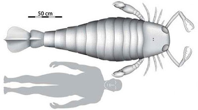 Giant Scorpian