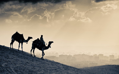 desert-city-camels-egypt-clouds-wallpaper