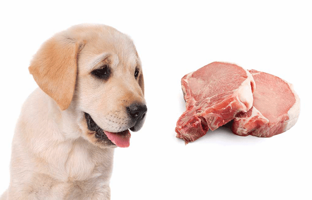 Can Dogs Eat Raw Meat? Is Raw Meat Safe For Dogs?