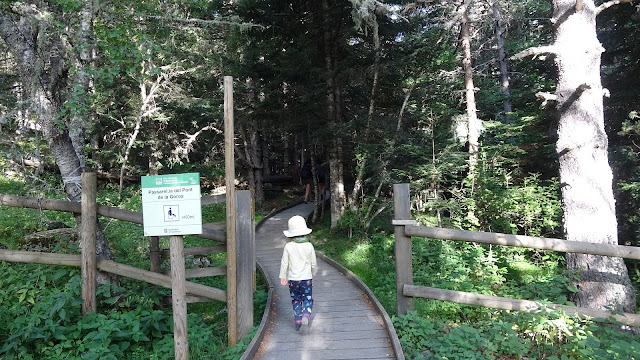 Pasarela del Pont de la Gorga