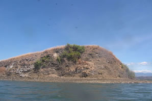 Reserva Biológica Guayabo, Negritos & Pájaros | Costa Rica