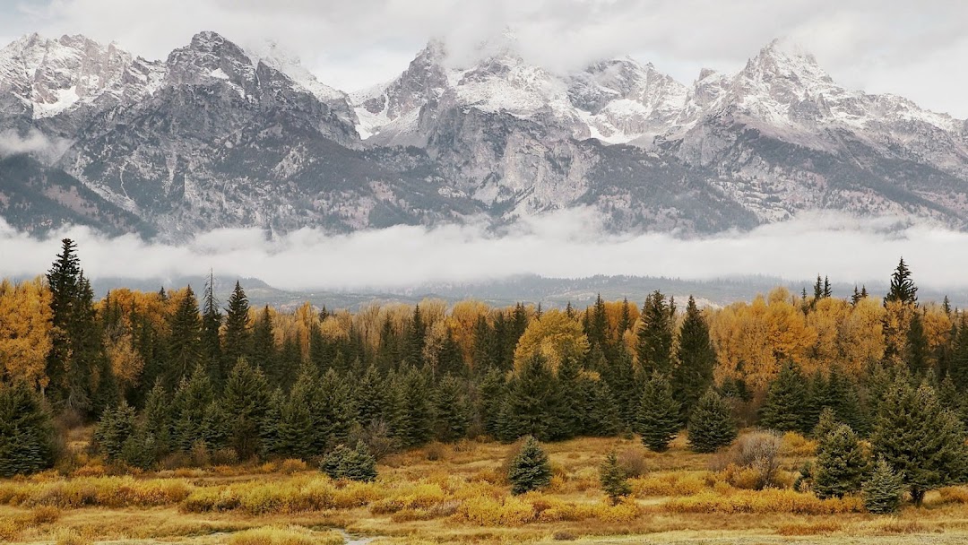 Trees Under Mountains hd wallpaper