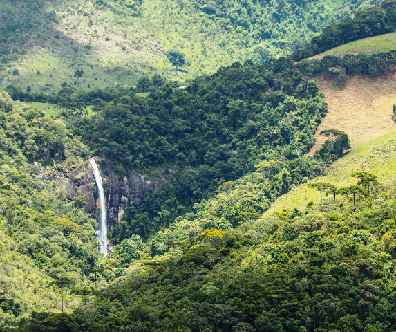 foto de uma cachoeira em Visconde de Mauá