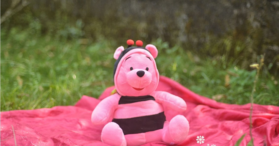 Gambar Boneka Lucu Winnie Pooh Pink