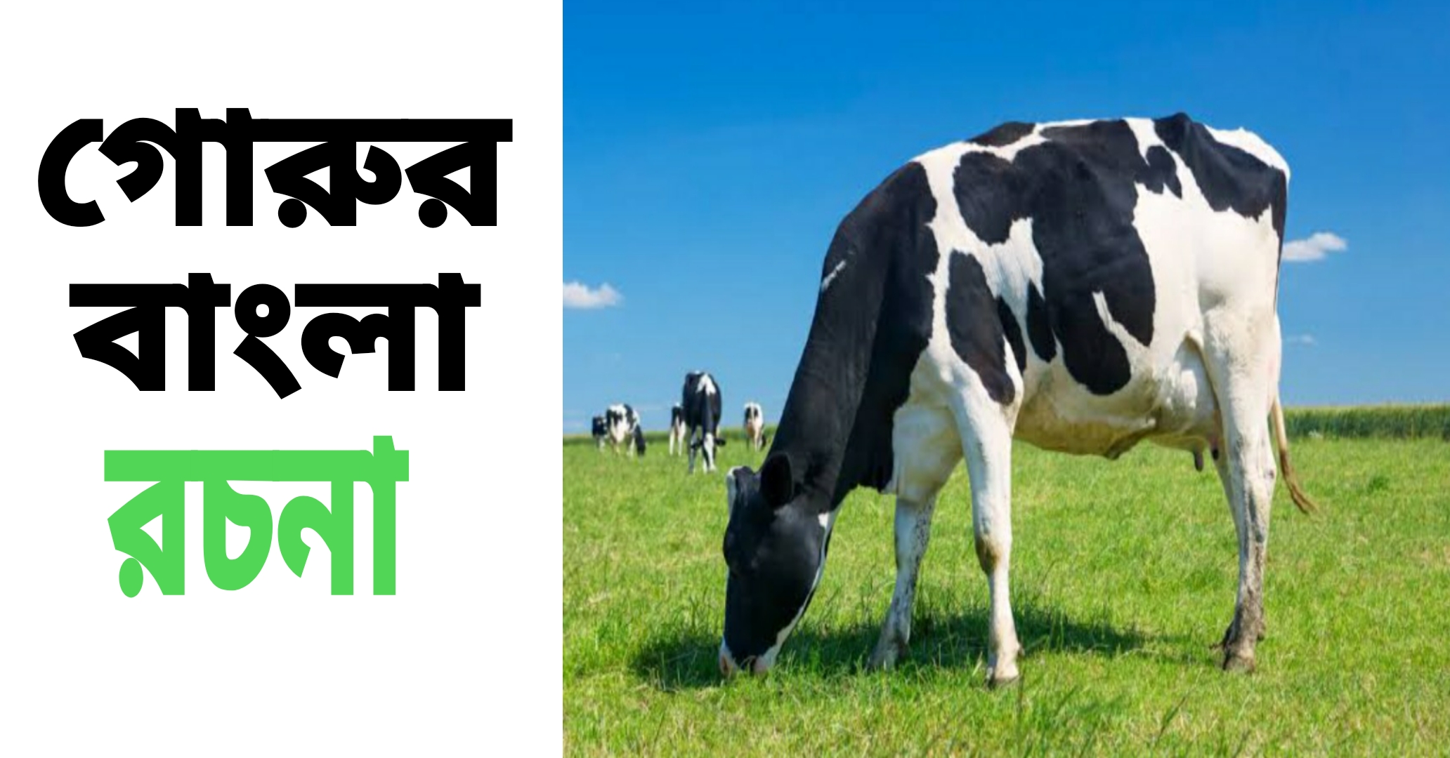 গোরুর বাংলা রচনা || Bengali composition cow