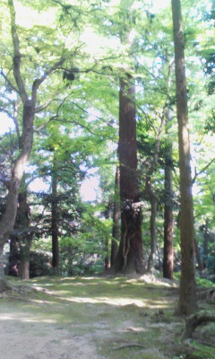 20100501_150001