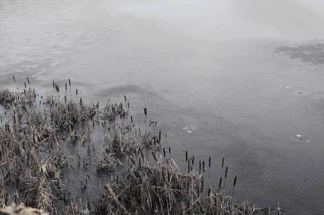 Frozen lake in winter